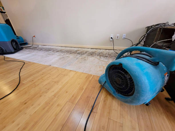 Professional Flood Damage Cleanup technician working in Calimesa, CA